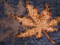 Leaf Thumbnail